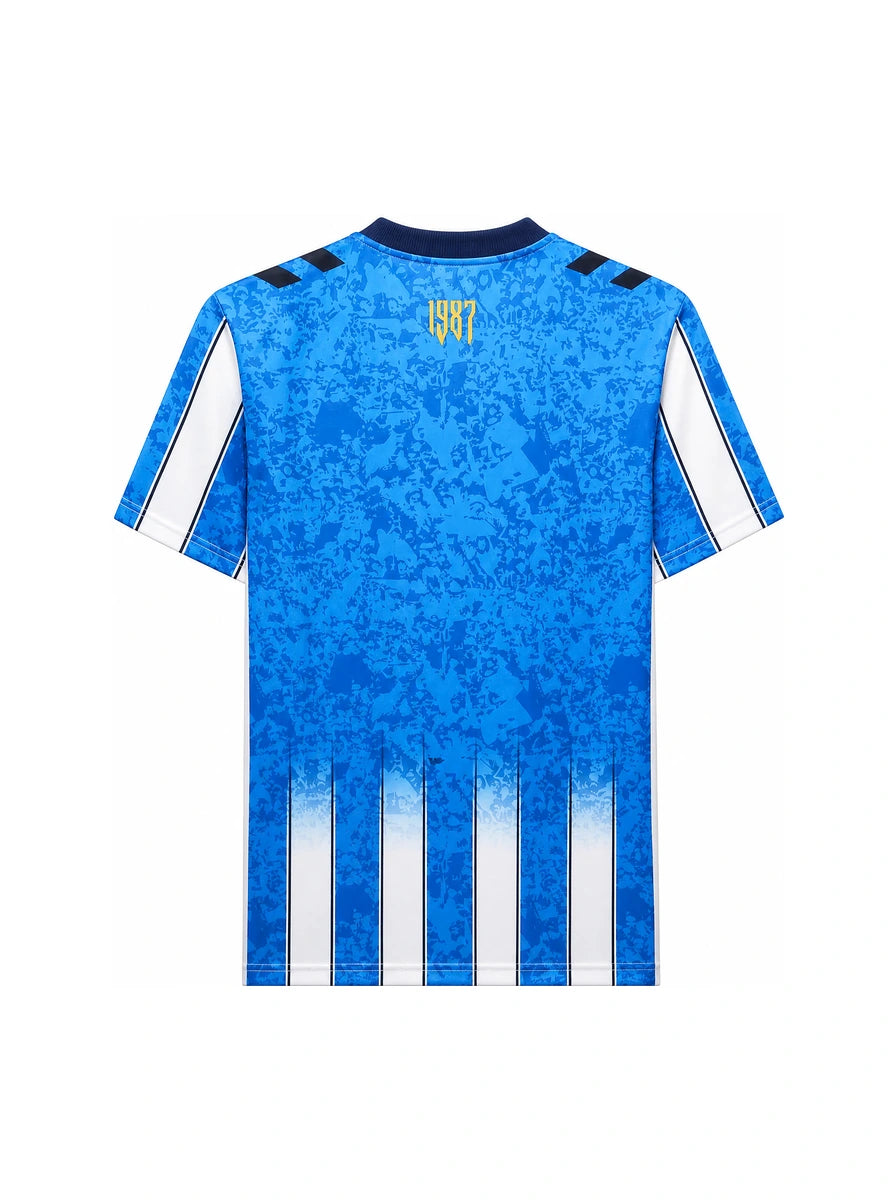 Coventry Maglia Home 26/27 back