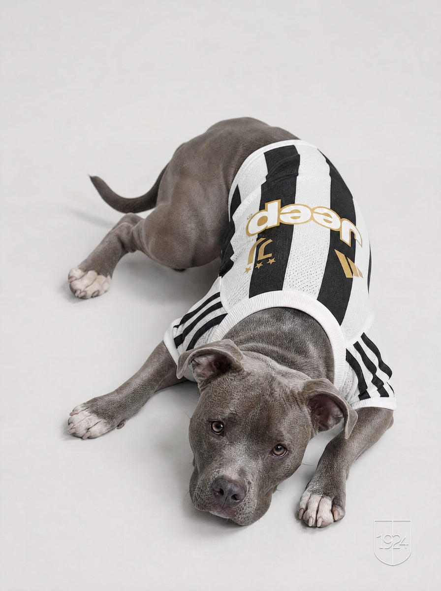 Maglia PET Home 26/27