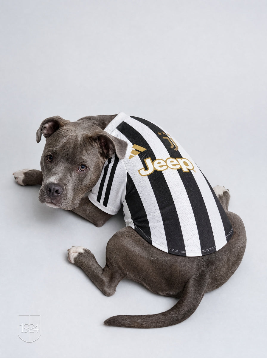 Maglia PET Home 26/27
