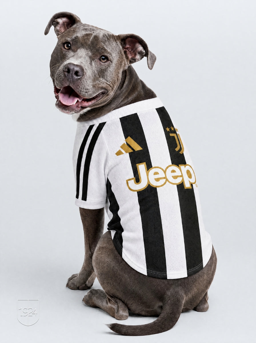 Maglia PET Home 26/27