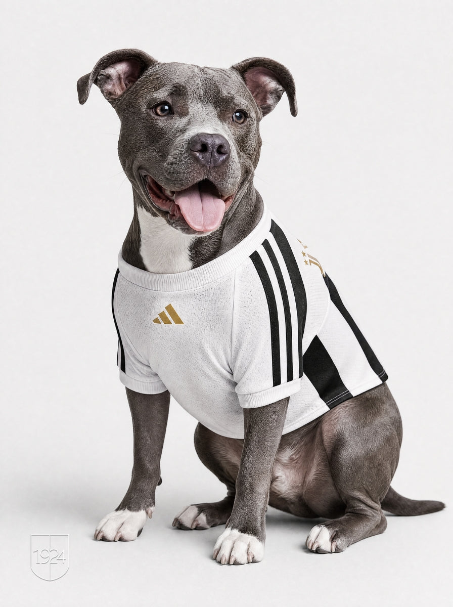 Maglia PET Home 26/27