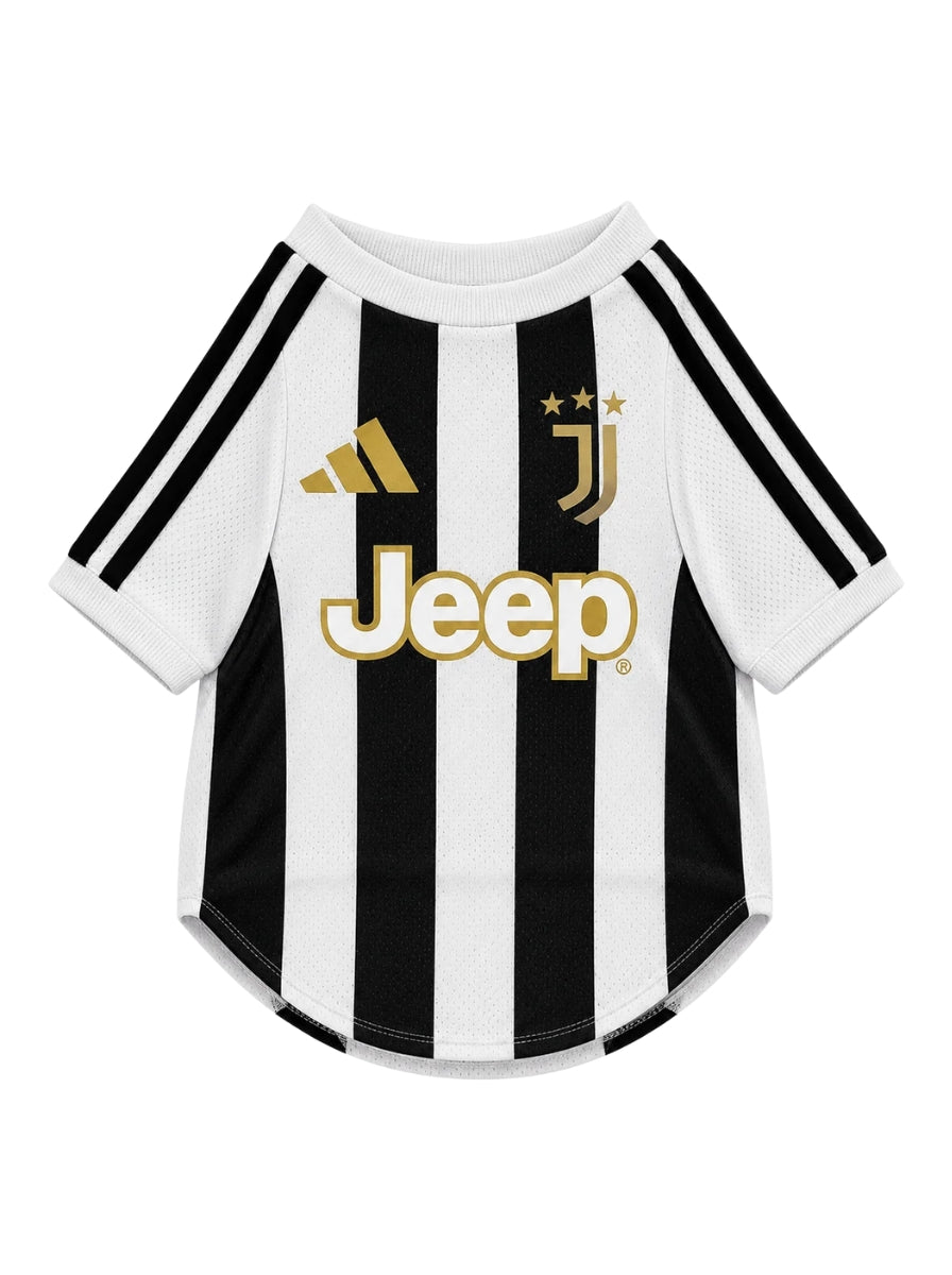 Maglia PET Home 26/27