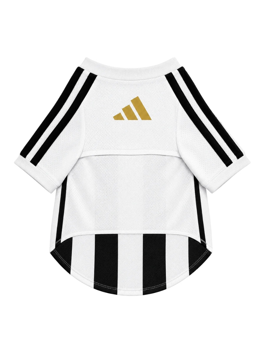 Maglia PET Home 26/27