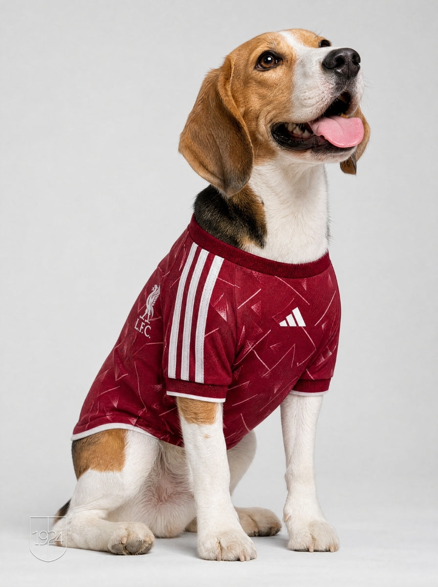 Maglia PET Home 26/27