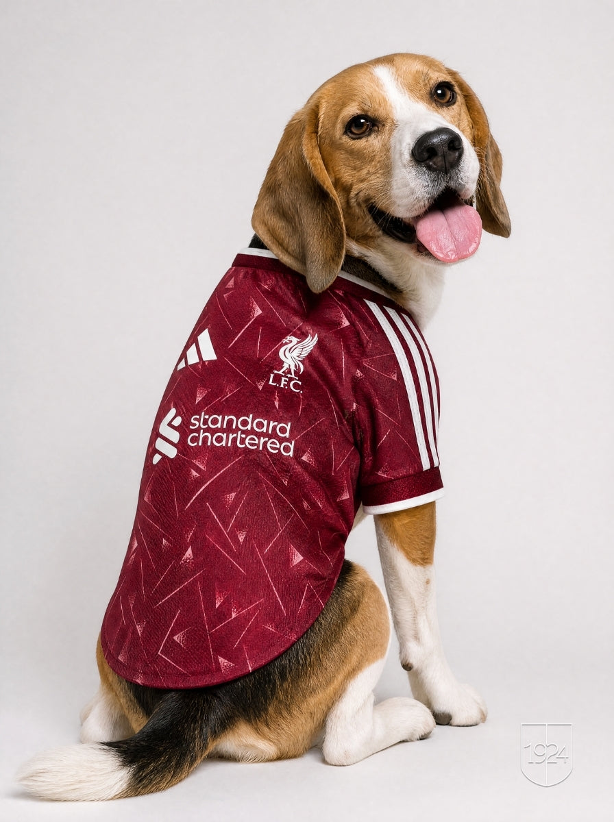 Maglia PET Home 26/27