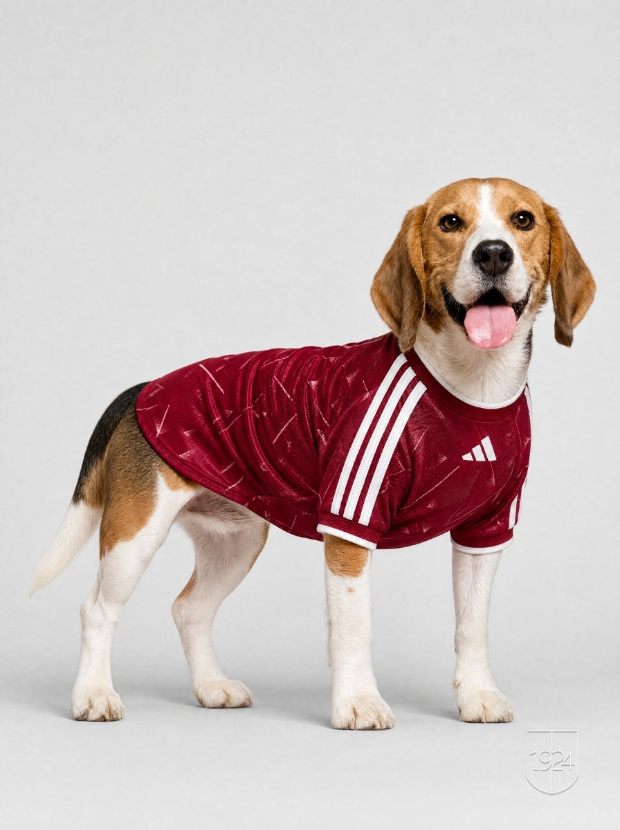 Maglia PET Home 26/27