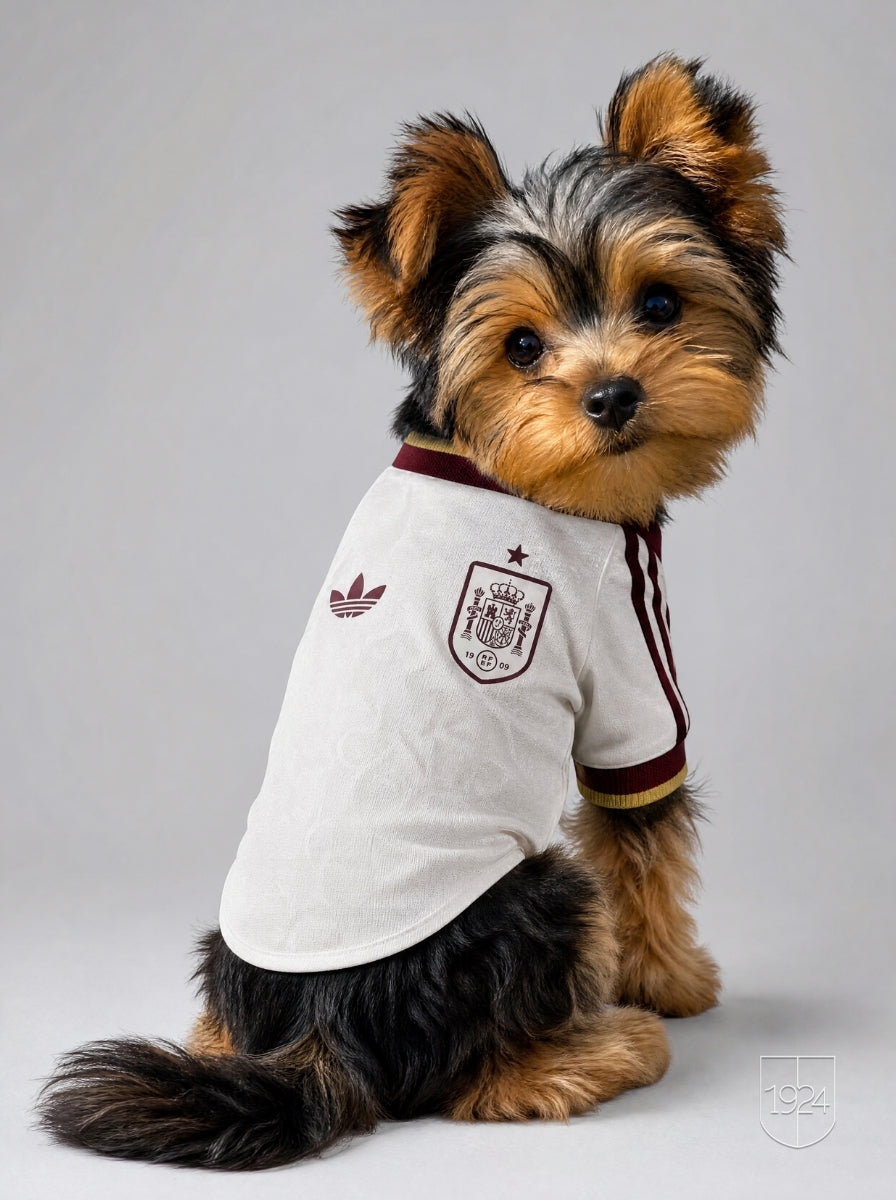 Maglia PET Away 2026