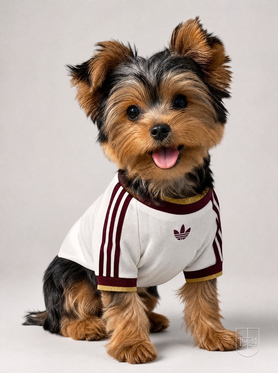 Maglia PET Away 2026