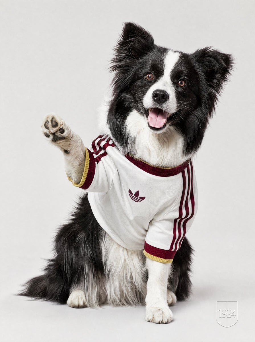 Maglia PET Away 2026