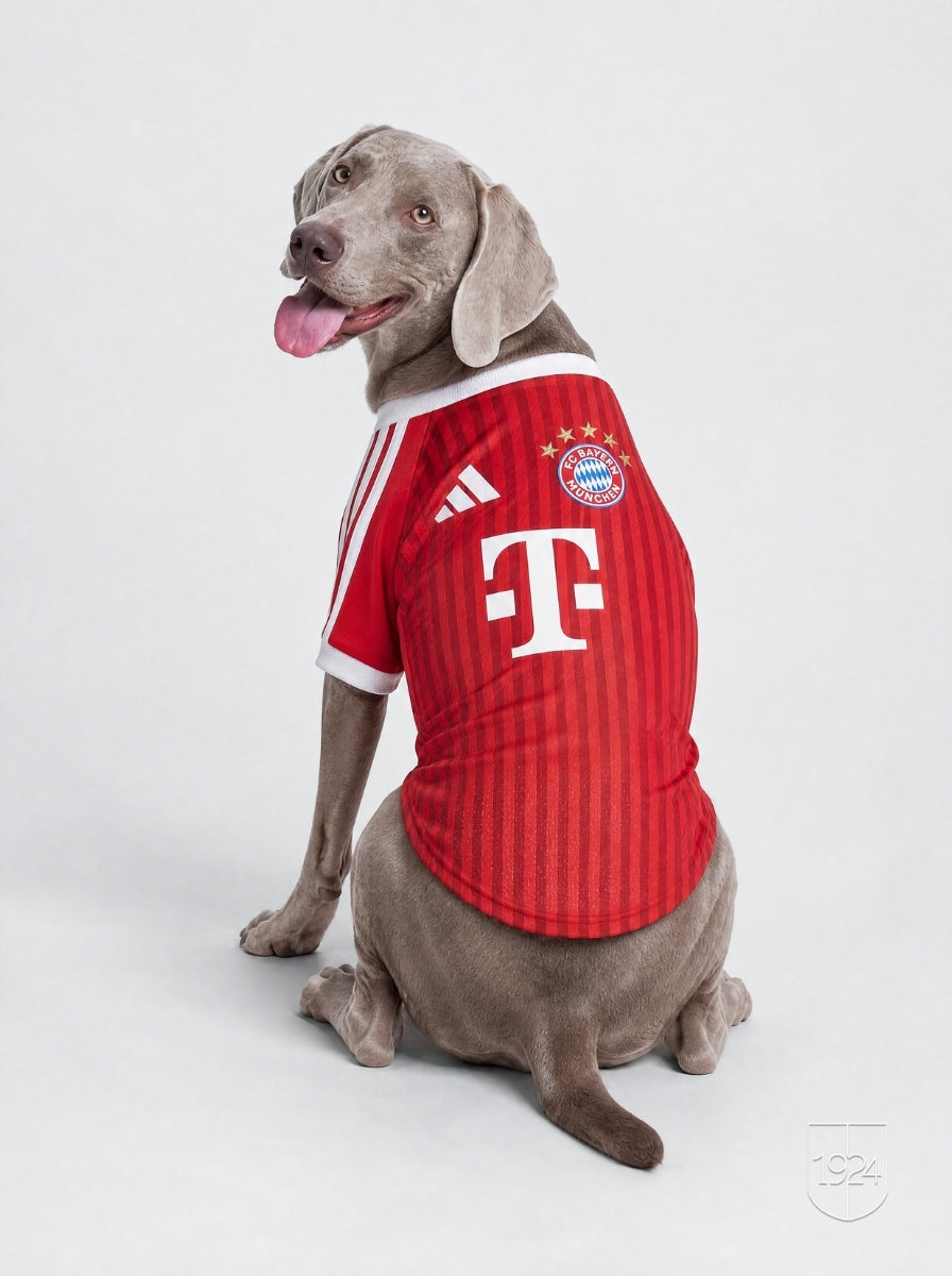Maglia PET Home 26/27