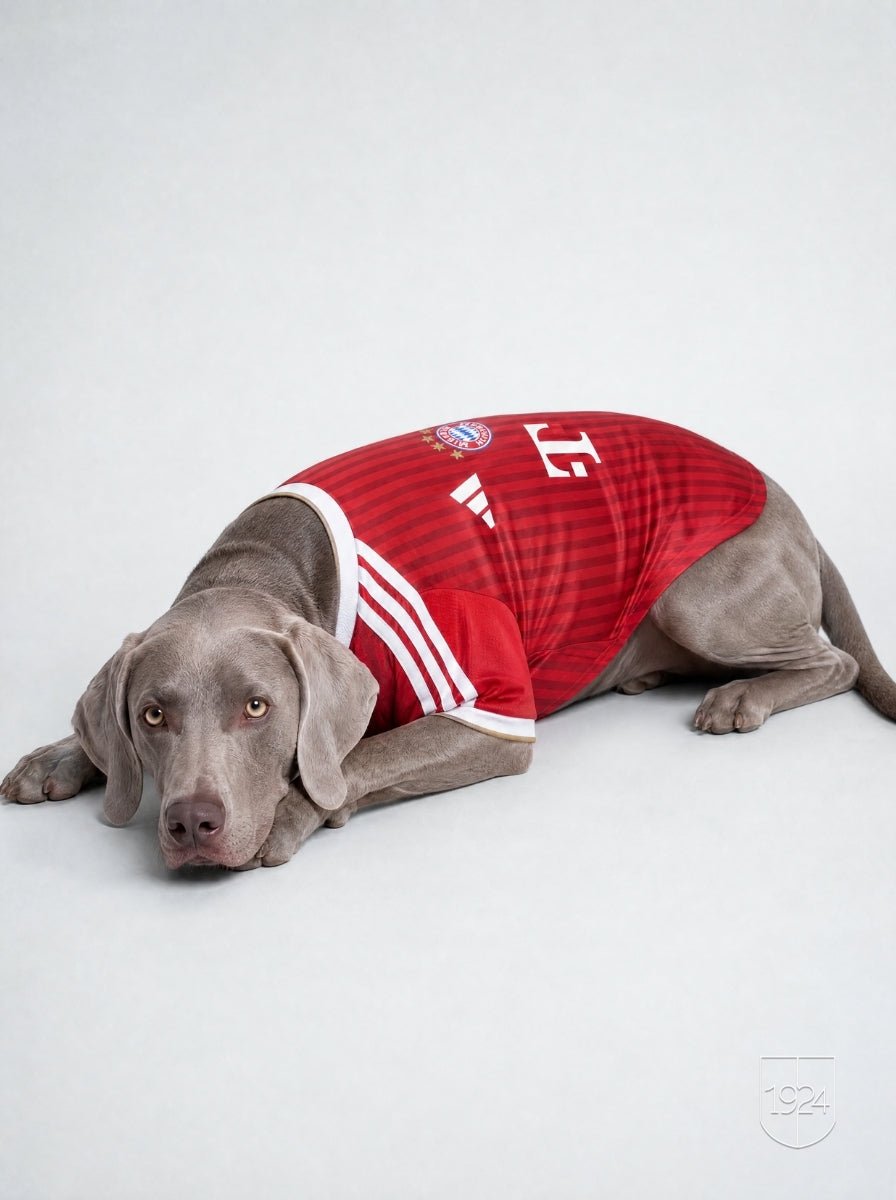 Maglia PET Home 26/27