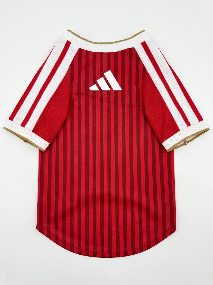 Maglia PET Home 26/27