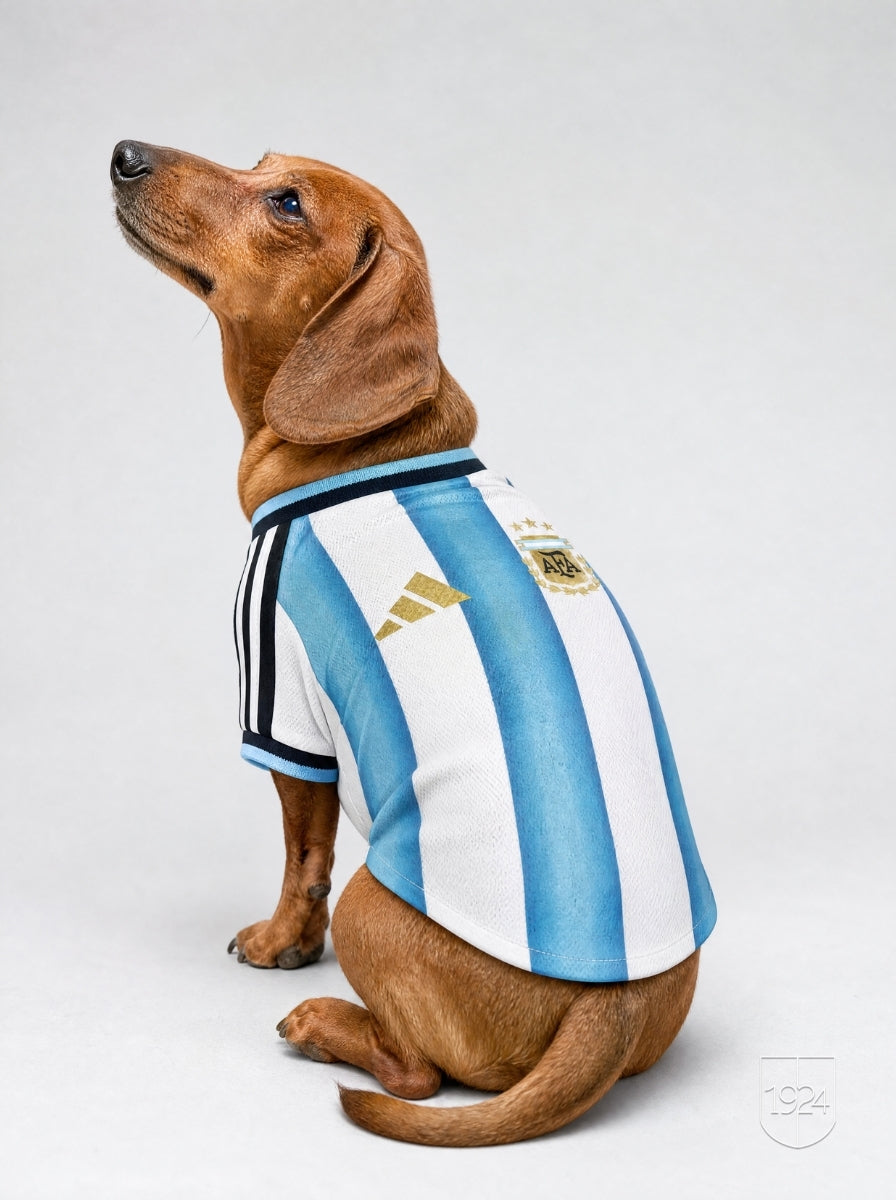 Maglia PET Home 2026