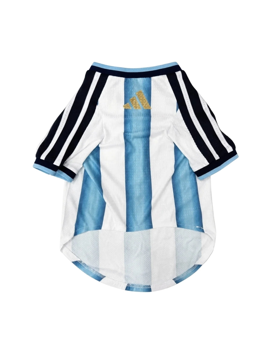 Maglia PET Home 2026