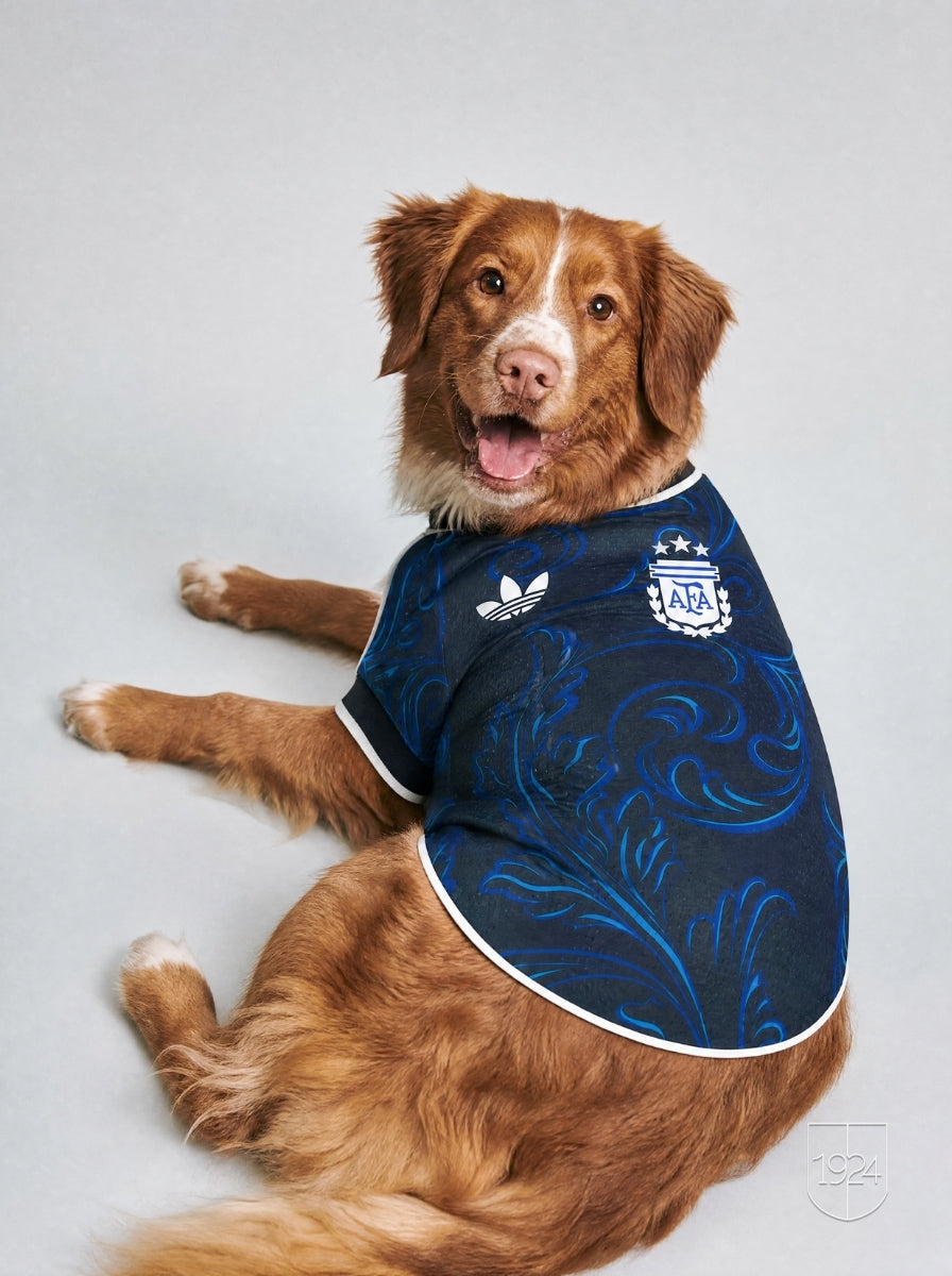 Maglia PET Away 2026