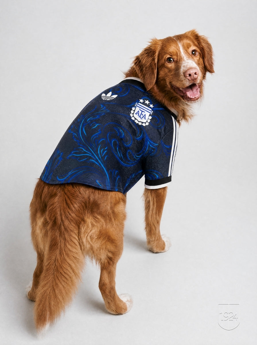 Maglia PET Away 2026