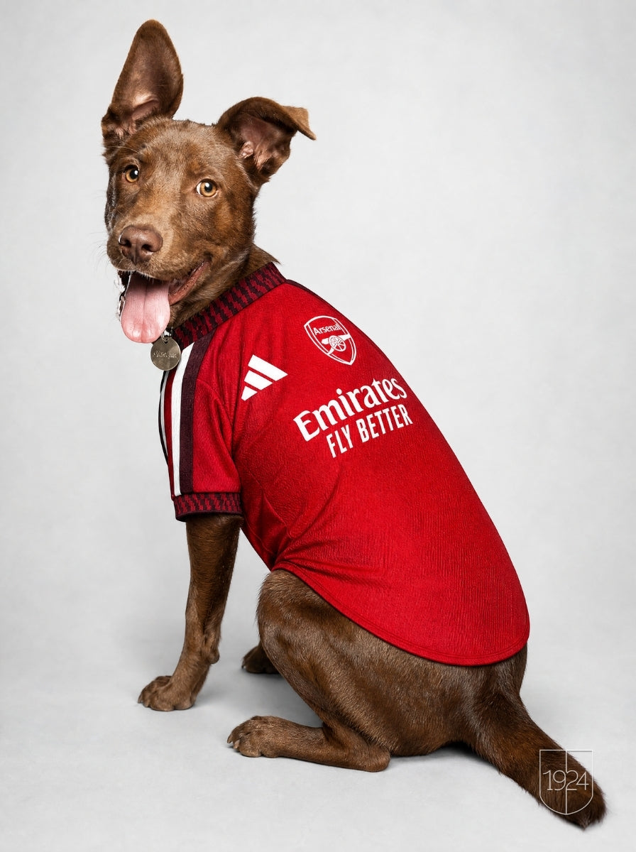 Maglia PET Home 26/27