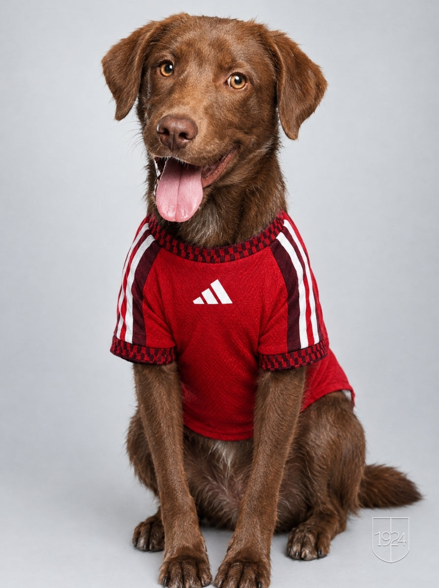 Maglia PET Home 26/27