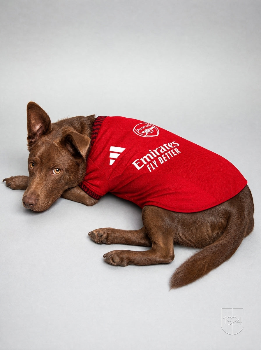 Maglia PET Home 26/27