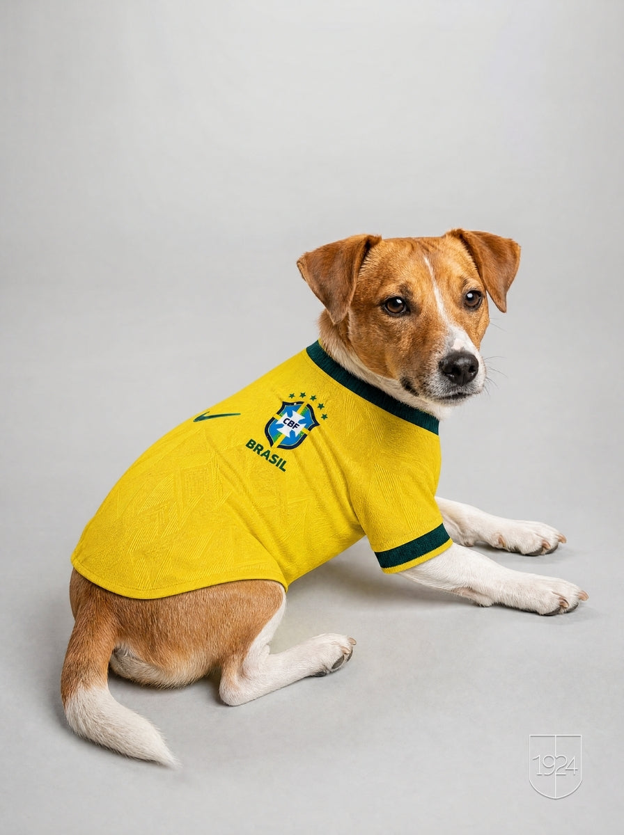 Maglia PET Home 2026
