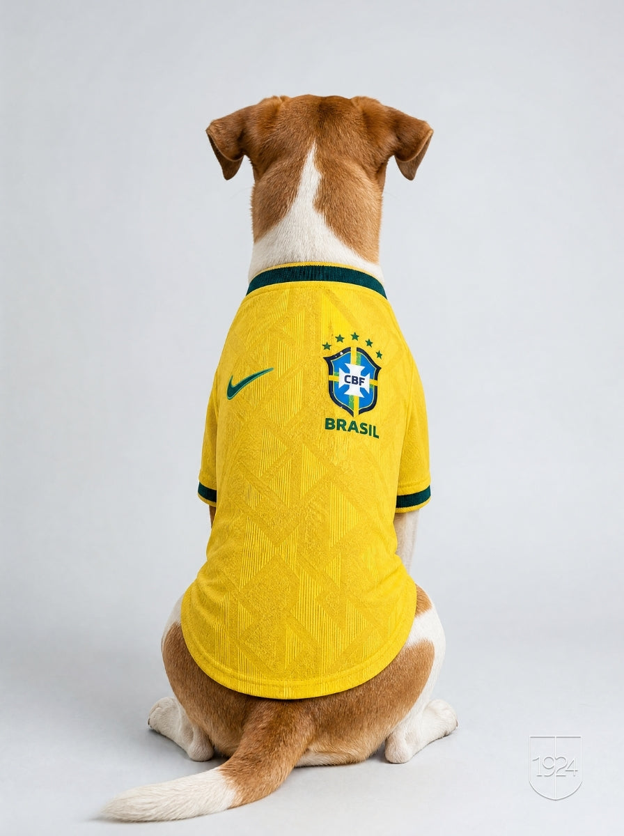 Maglia PET Home 2026