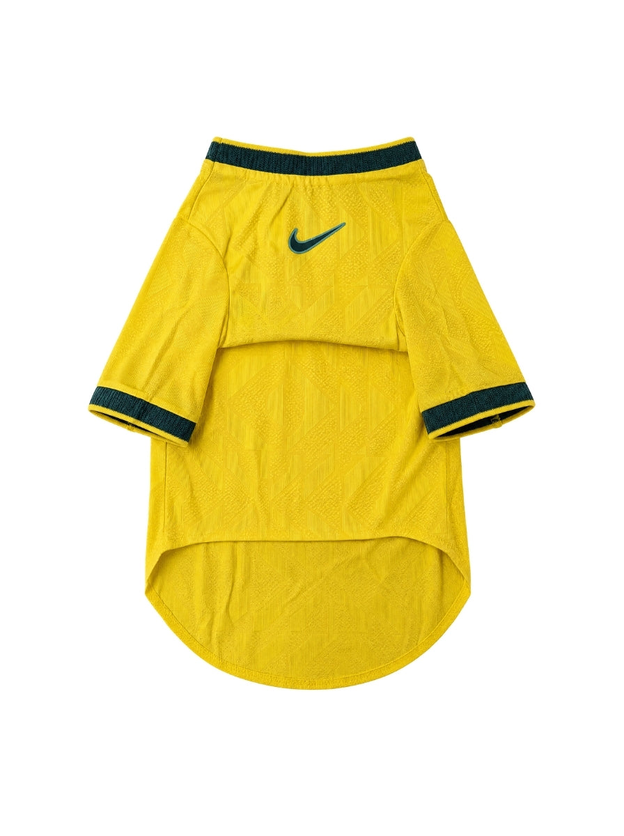 Maglia PET Home 2026