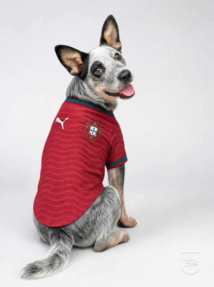 Maglia PET Home 2026