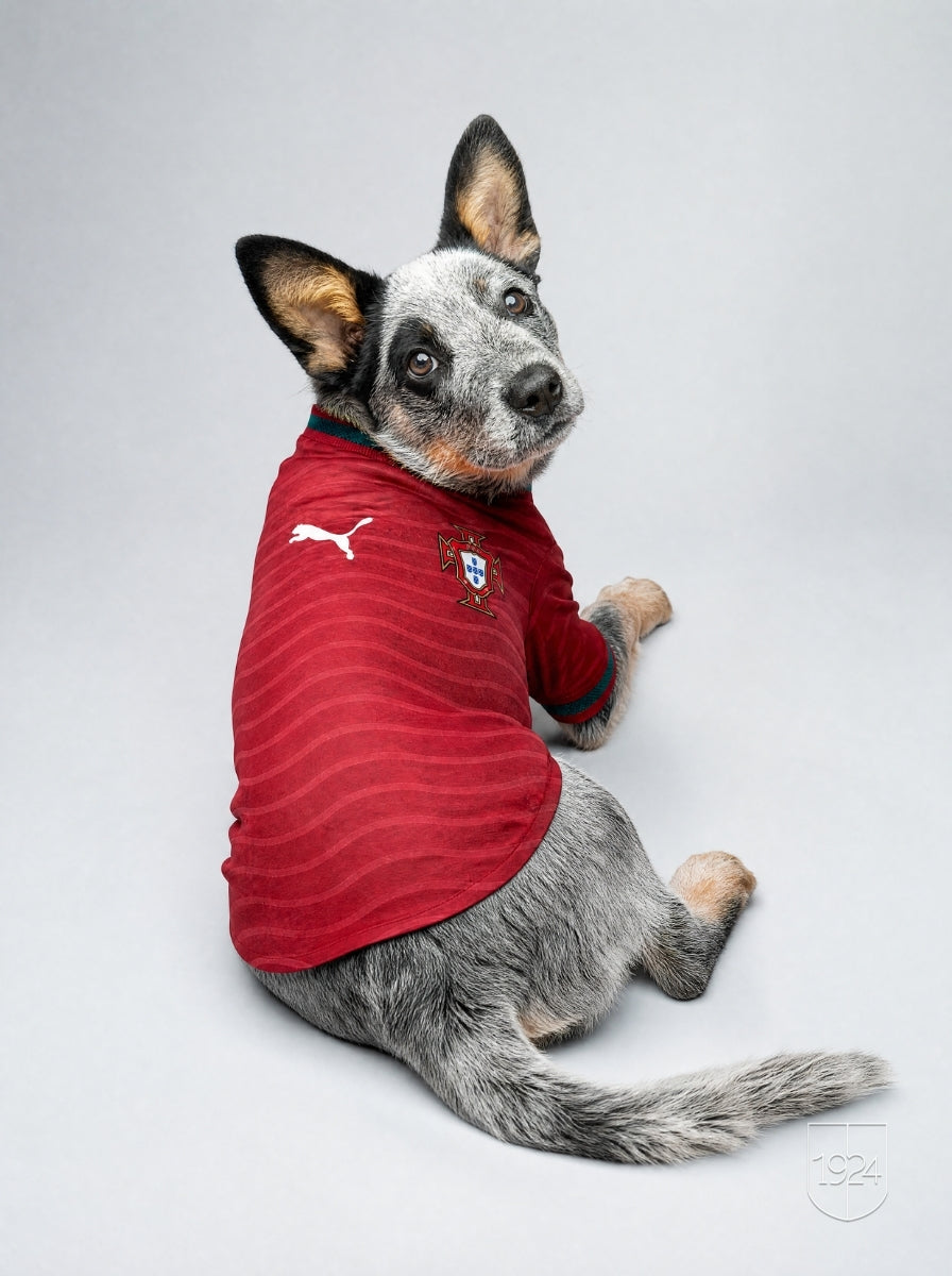 Maglia PET Home 2026