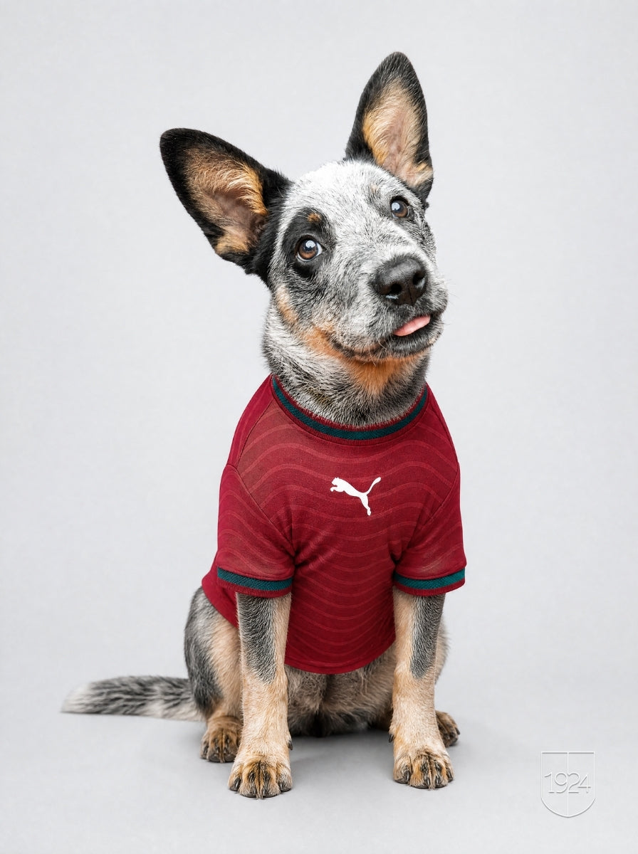 Maglia PET Home 2026