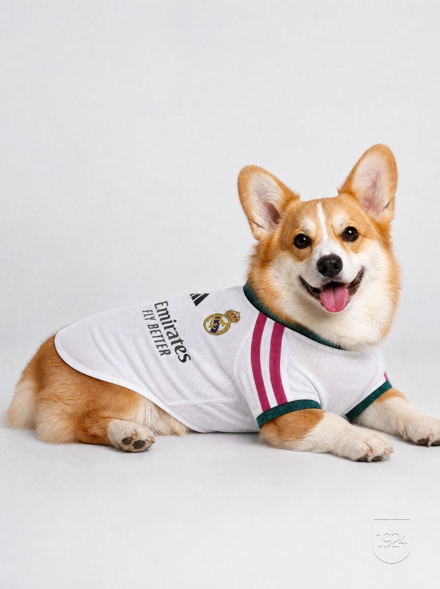 Maglia PET Home 26/27