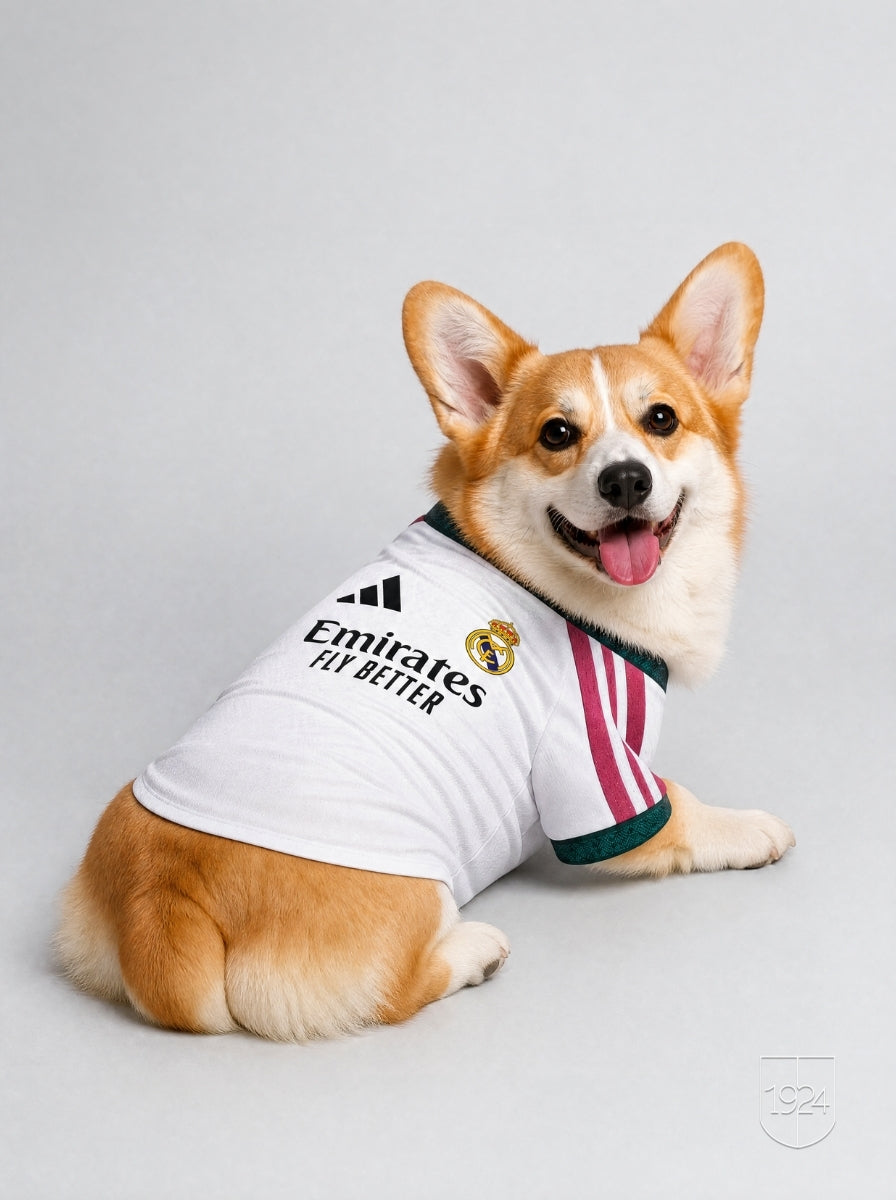 Maglia PET Home 26/27