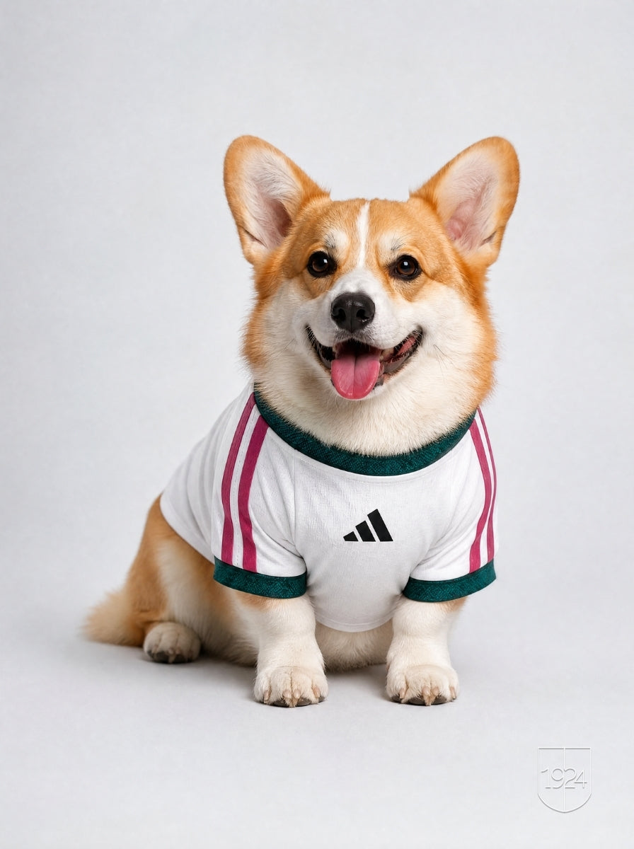 Maglia PET Home 26/27