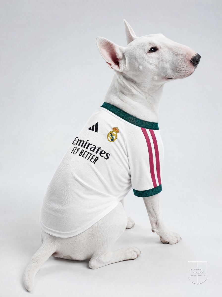 Maglia PET Home 26/27