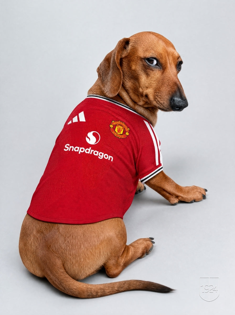 Maglia PET Home 26/27