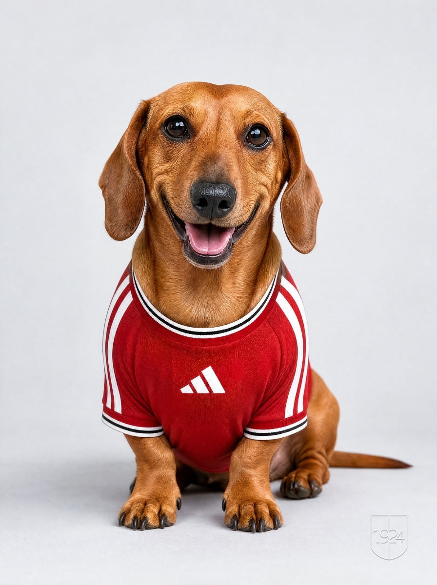 Maglia PET Home 26/27