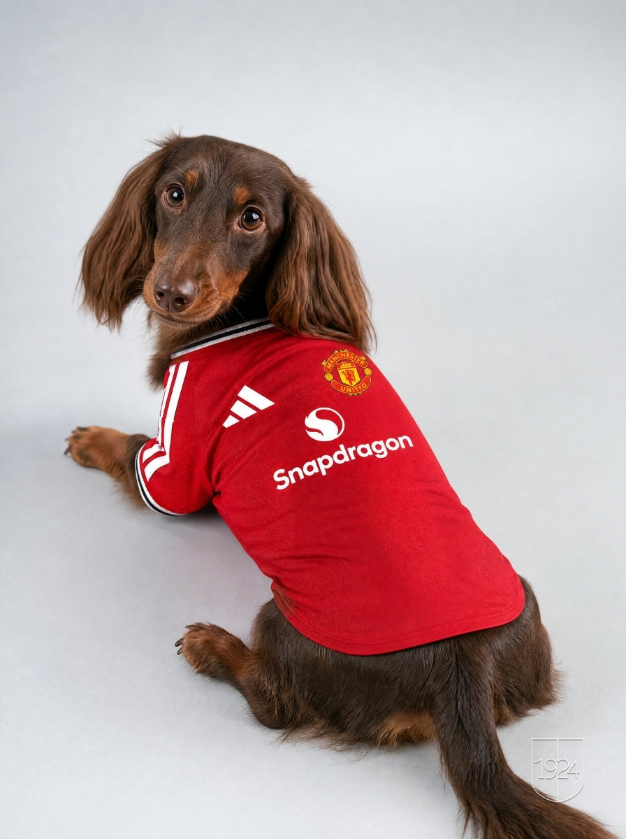 Maglia PET Home 26/27