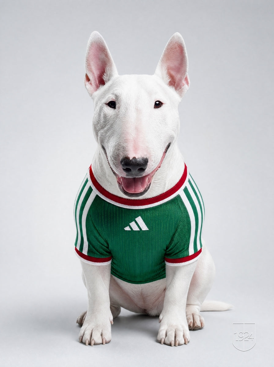 Maglia PET Home 2026