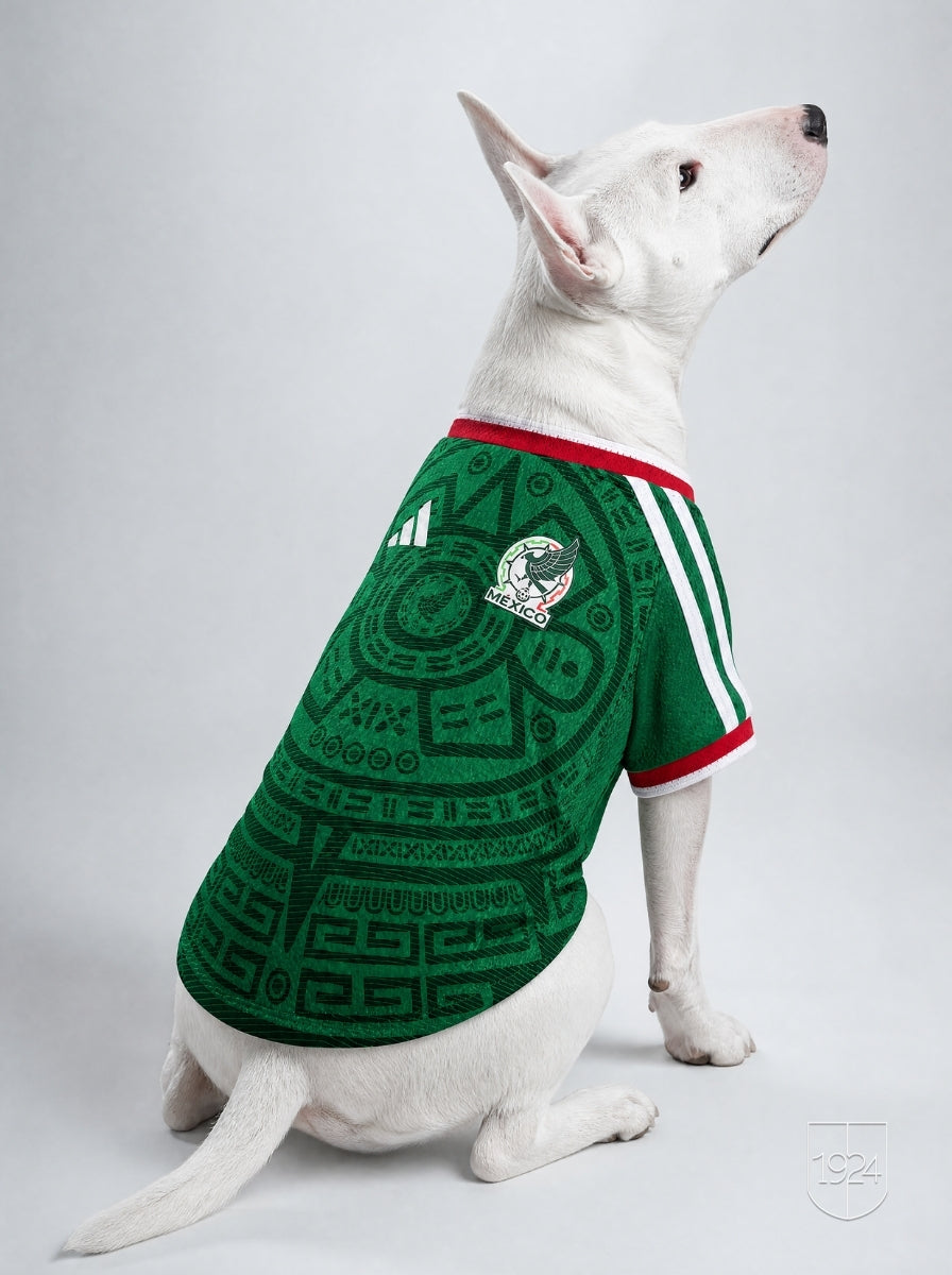 Maglia PET Home 2026