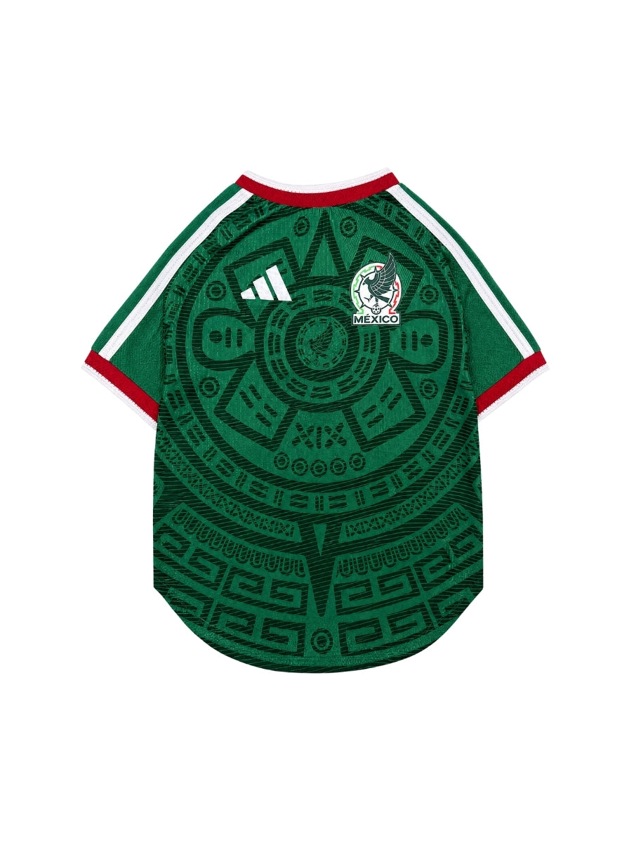 Maglia PET Home 2026