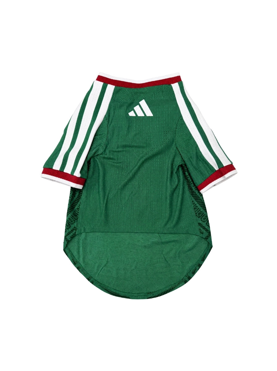 Maglia PET Home 2026