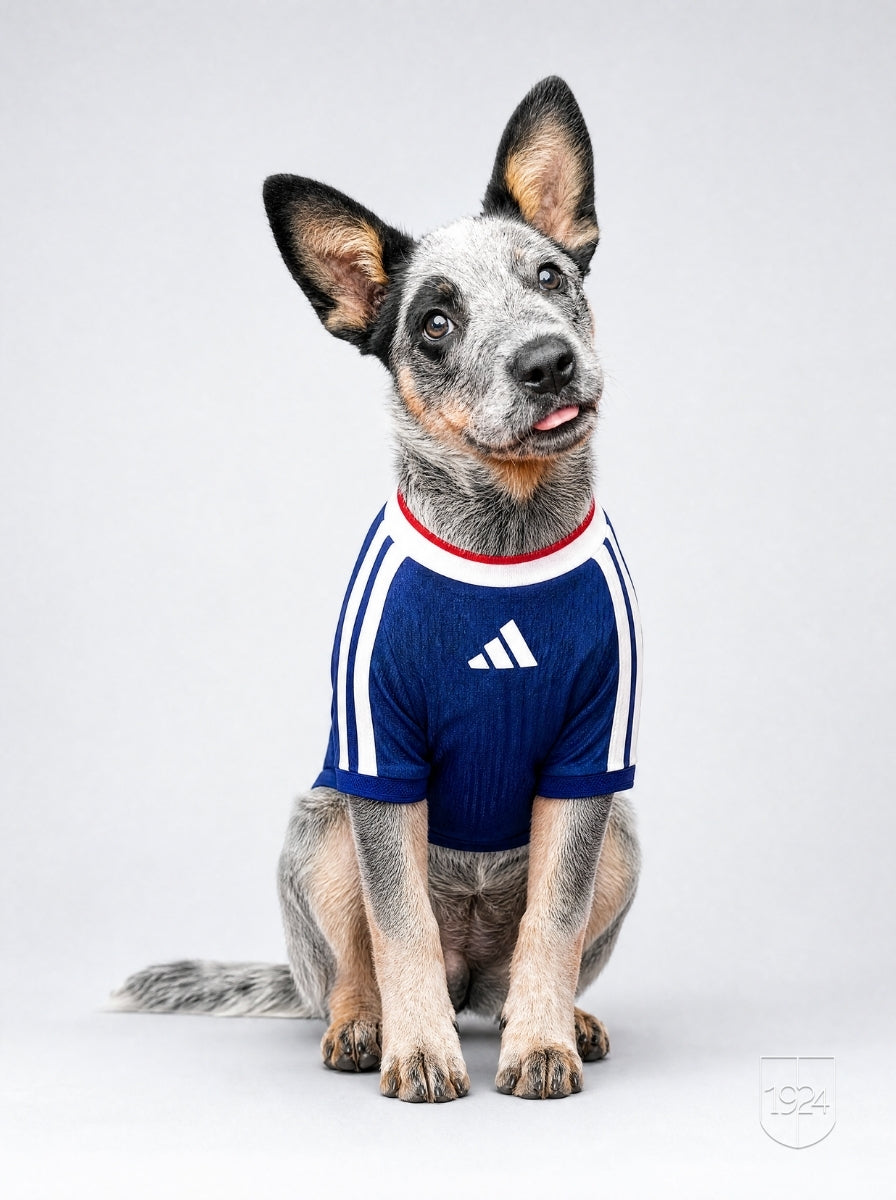 Maglia PET Home 2026
