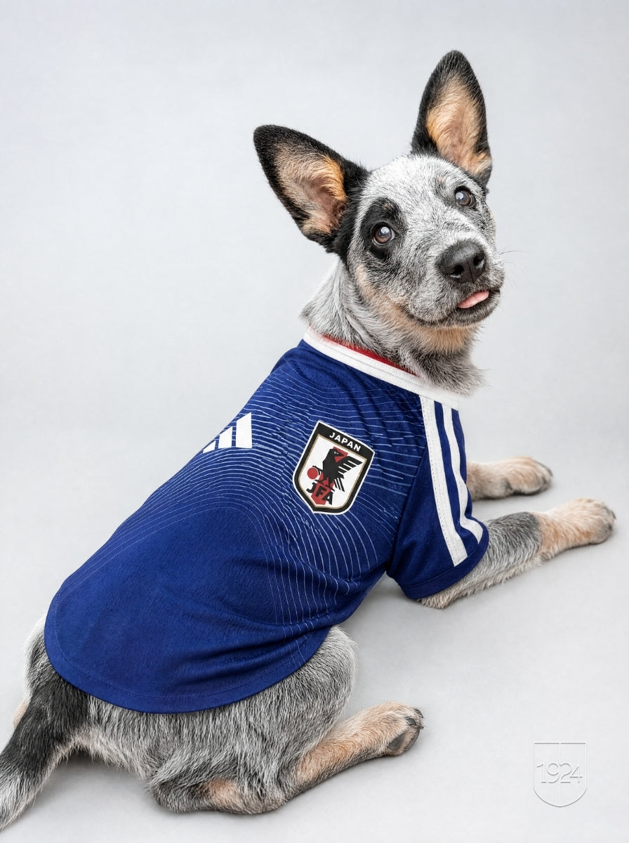 Maglia PET Home 2026