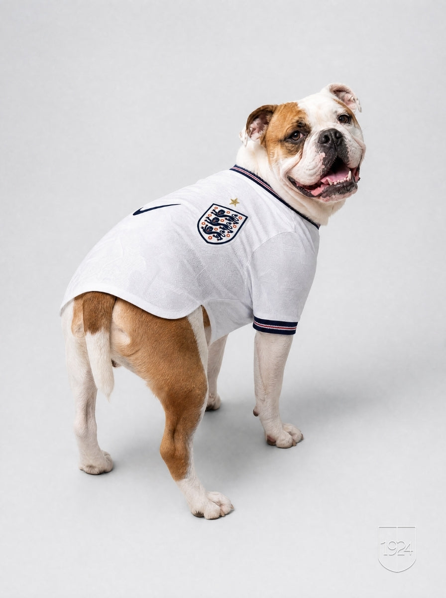 Maglia PET Home 2026