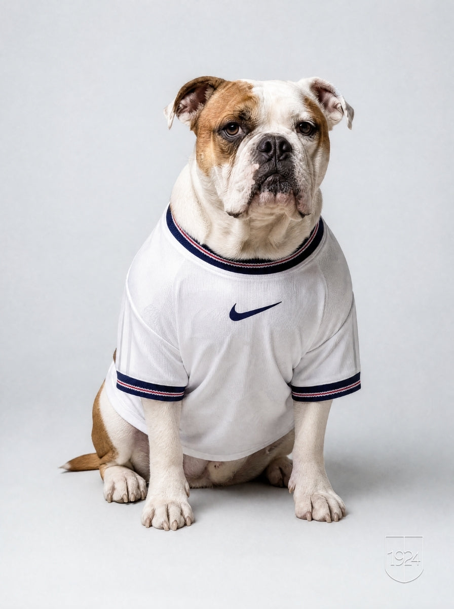Maglia PET Home 2026