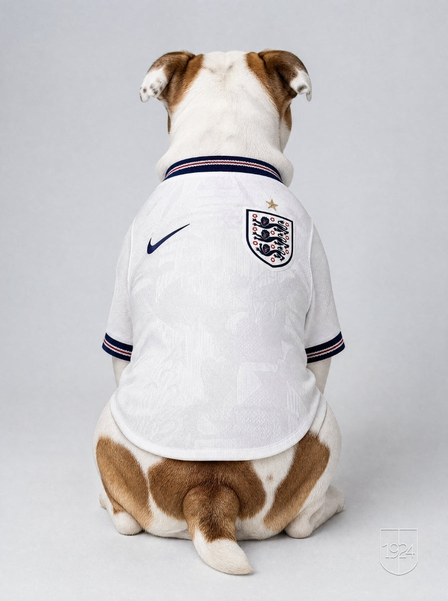 Maglia PET Home 2026