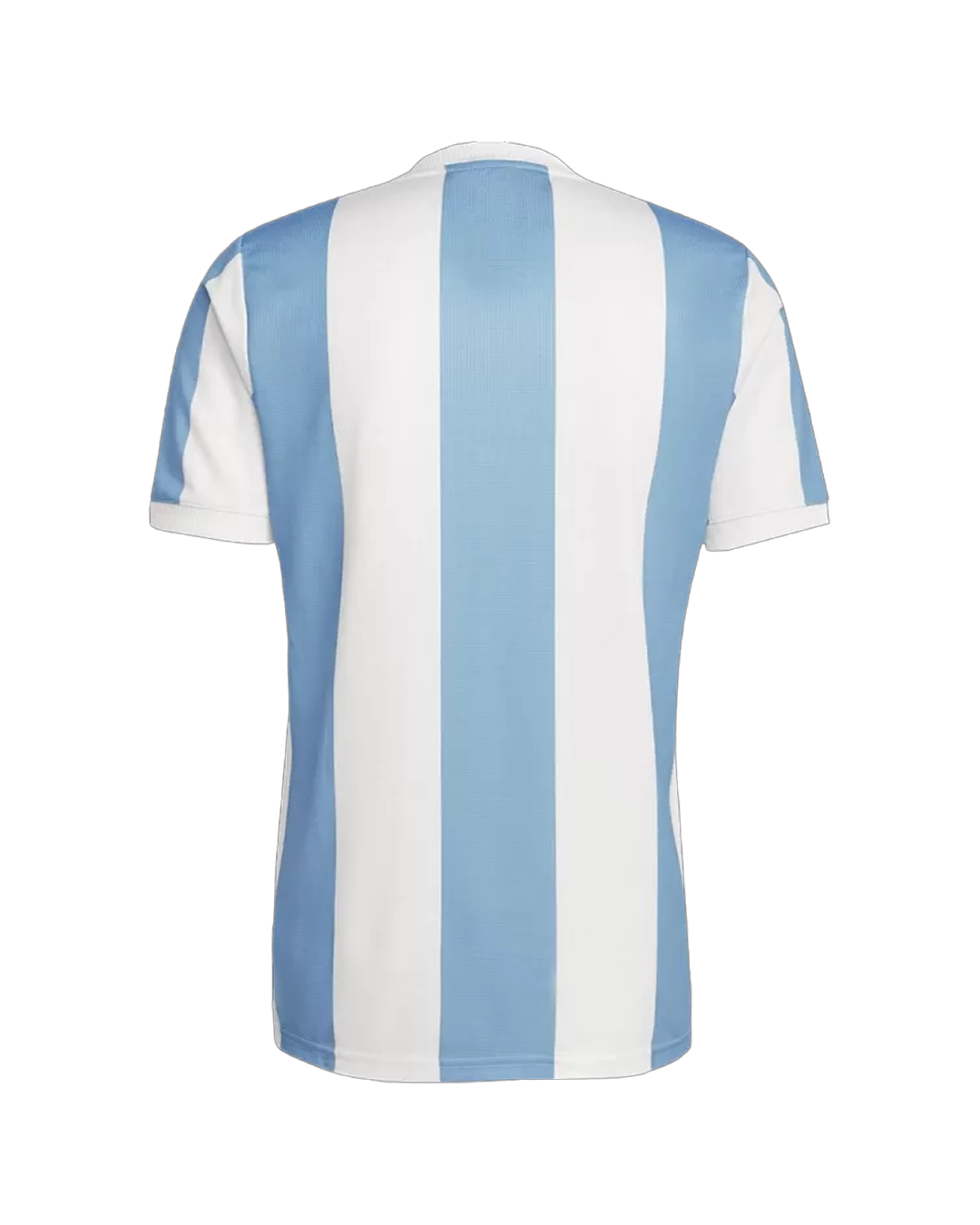 Maglia 100