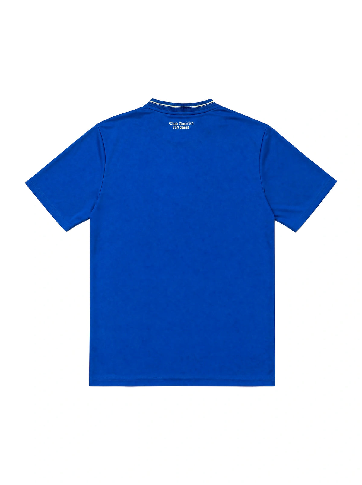Maglia Speciale 110 Anni Lifestyler Blu 26/27